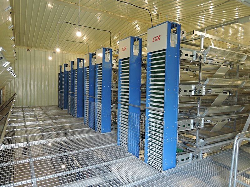 Broiler Cage Feeding System high quality