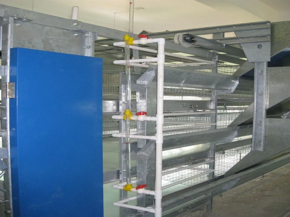 Pullet Cage Water Supply System factory