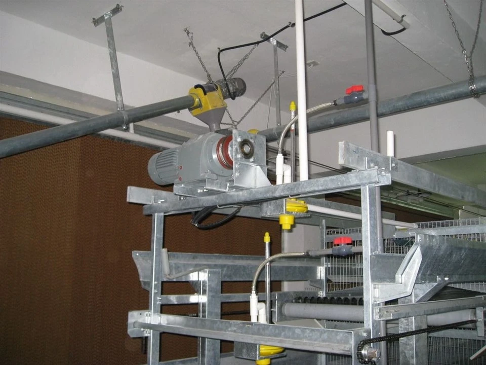 Pullet Cage Water Supply System suppliers